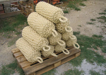 Vilson morski program