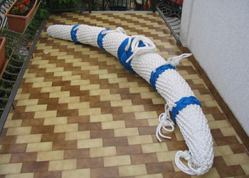 Vilson morski program