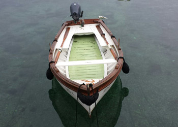 Vilson morski program