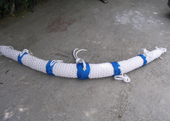Vilson morski program